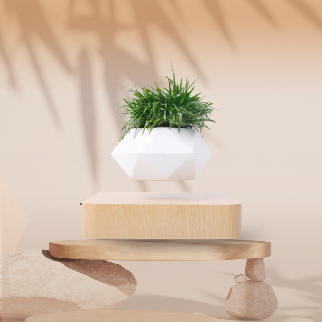 AuraFloat Magnetic Levitating Bonsai Pot