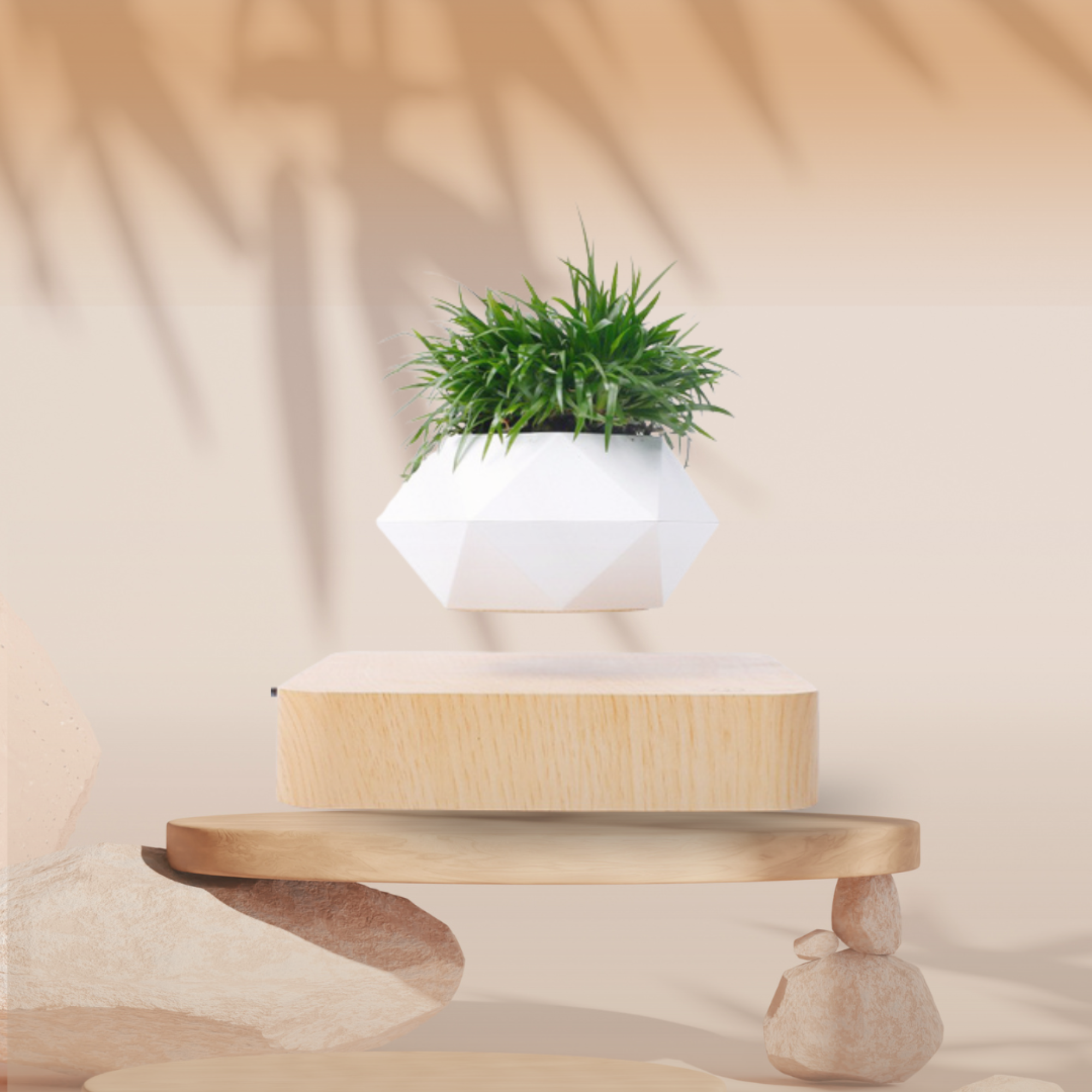 AuraFloat Magnetic Levitating Bonsai Pot