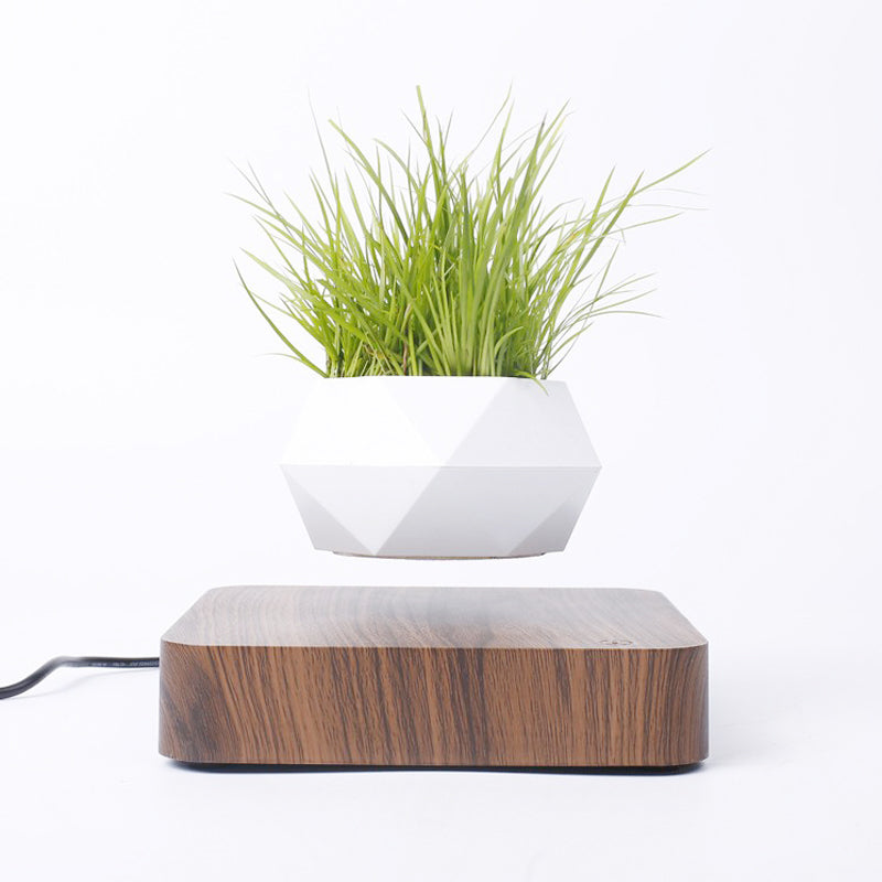 AuraFloat Magnetic Levitating Rotation Flowerpot Floating Bonsai Pot with Wood Base