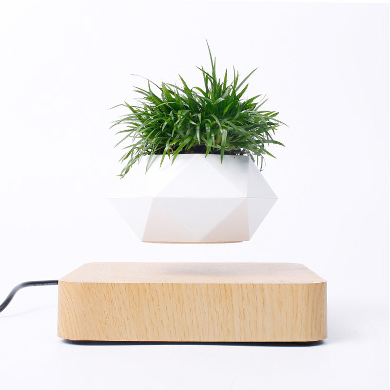 AuraFloat Magnetic Levitating Rotation Flowerpot Floating Bonsai Pot with Wood Base